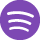 Spotify Icon